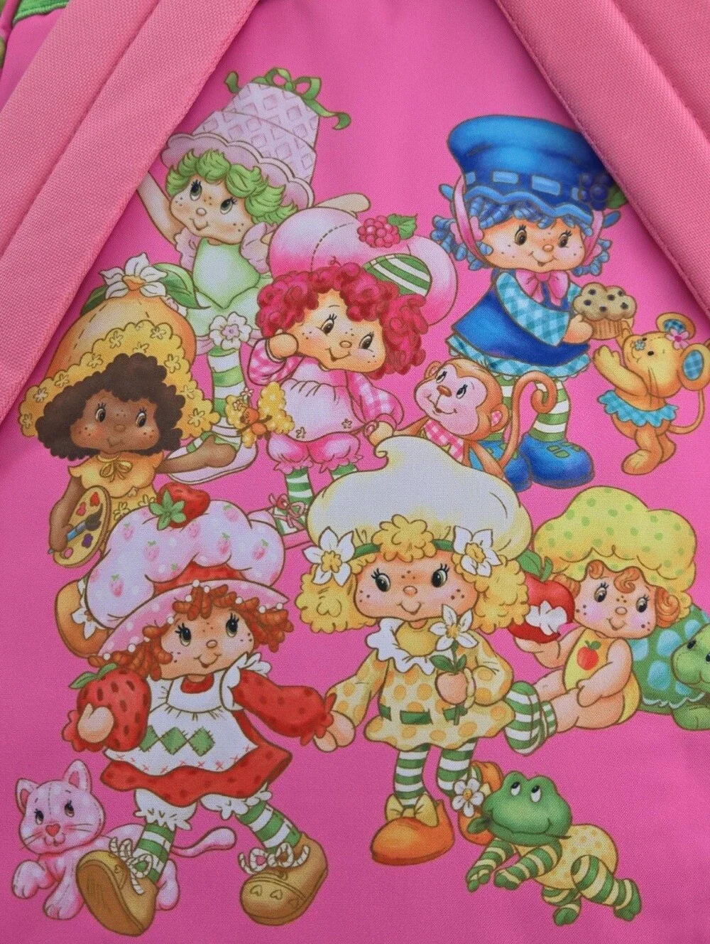 Strawberry Shortcake Backpack 4 Piece Set Back To School Lunchbox Pencil Case